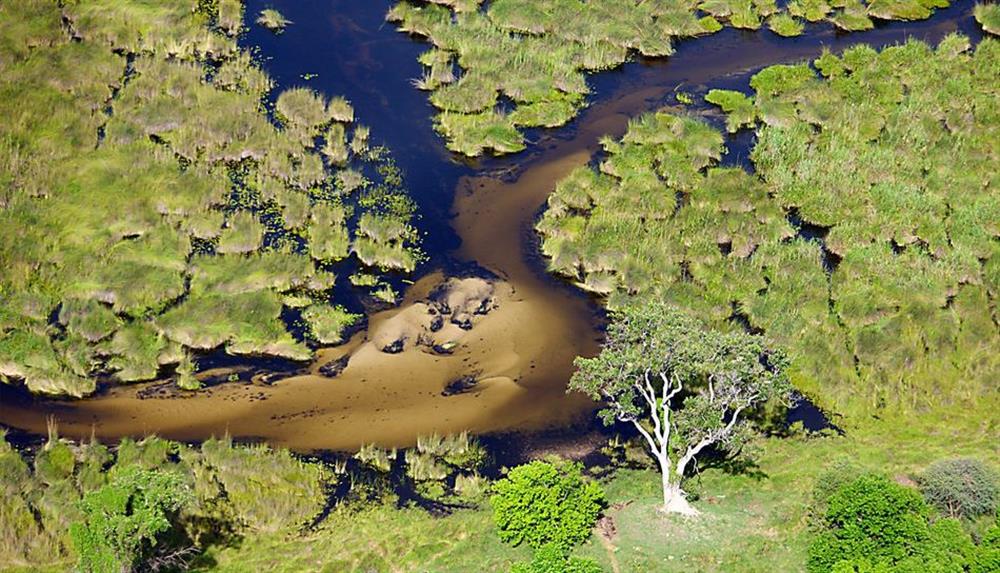 Sandibe Okavango Safari Lodge